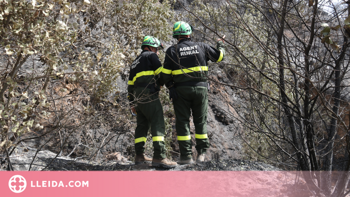 El govern espanyol declara zona catastròfica les àrees de Catalunya incendiades