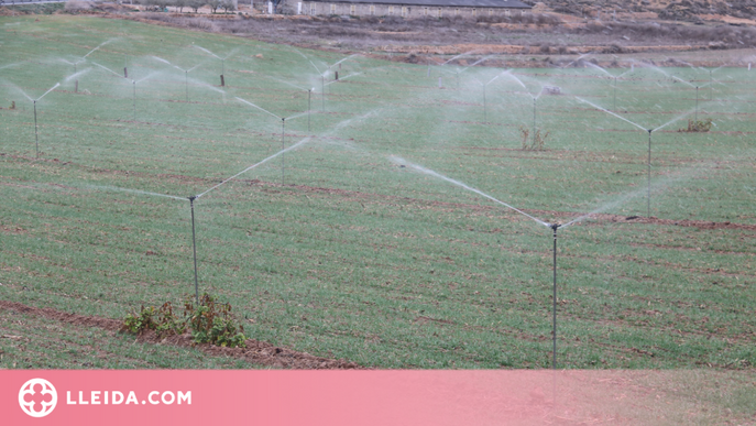 ⏯️ El canal Segarra-Garrigues inicia la campanya de reg "més difícil de la seva història"