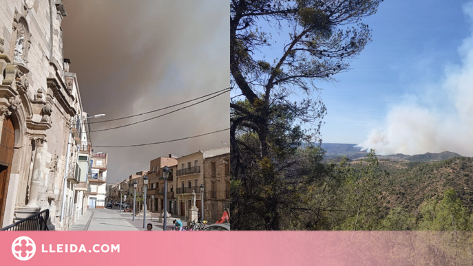 El Segrià Sec reclama gestió forestal per evitar que els incendis "devastin" el territori