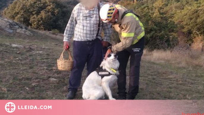 Un gos dels Bombers troba un home que s'havia perdut a l'Alt Urgell