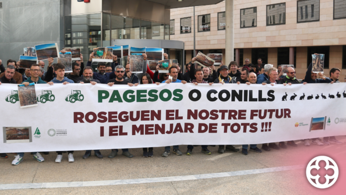 Representants agrícoles declaren pel suposat maltractament de conills en una protesta a Lleida