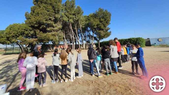 La Paeria inicia els "Oasis de Biodiversitat" als patis escolars de Lleida