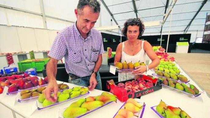 preparatius de la fira de sant miquel