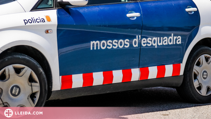 Detingut a Lleida per robar en un vehicle i intentar comprar amb les targetes usurpades