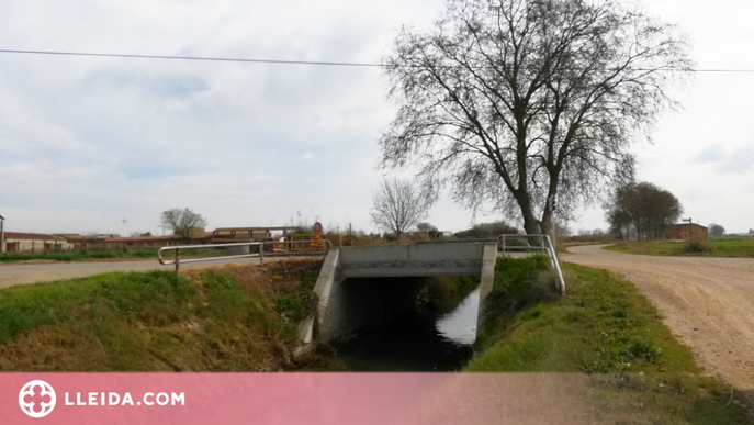 Plantaran un centenar d'arbres a la segona sèquia del canal d'Urgell, a Vallfogona de Balaguer