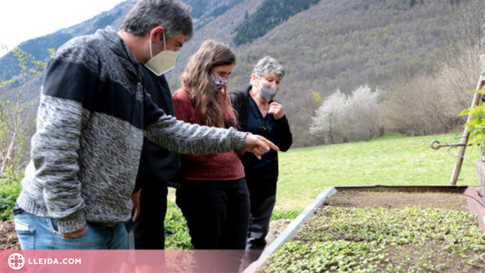⏯️ Horts voluntaris al Pallars Sobirà i l'Alt Urgell per recuperar i conservar varietats tradicionals