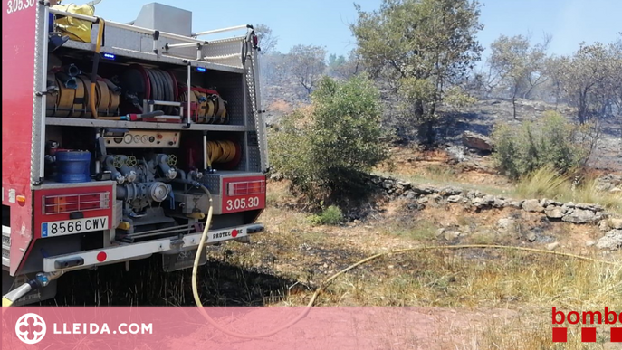 ⏯️ Dos incendis cremen vegetació agrícola a Artesa de Segre i Gratallops