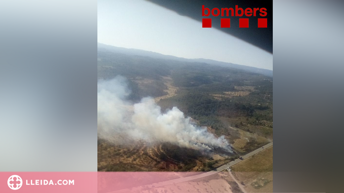 Un incendi crema un camp de blat a les Garrigues