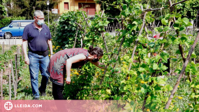 ⏯️ Un poble del Pallars Jussà converteix terrenys en desús en horts comunitaris i jardins comestibles