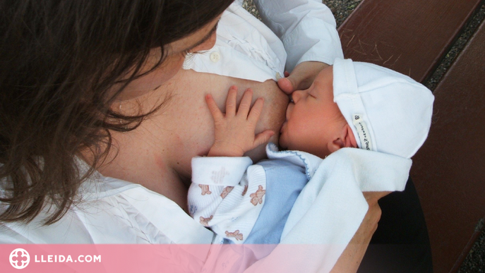 Estudien que prolongar la lactància materna implica un major volum de substància grisa als 10 anys