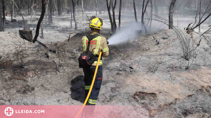 Els bombers apaguen més d'un centenar d'incendis durant l'episodi de calor