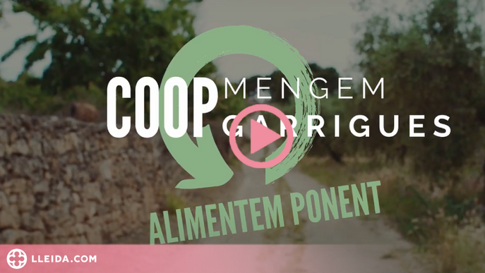 ⏯️ Quinze productores de Ponent es constitueixen com a cooperativa