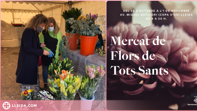 Sis parades al Mercat de Flors de Tots Sants a Lleida