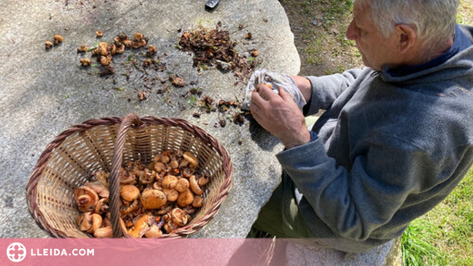 ⏯️ La temporada de bolets podria allargar-se si les pluges són "generoses"