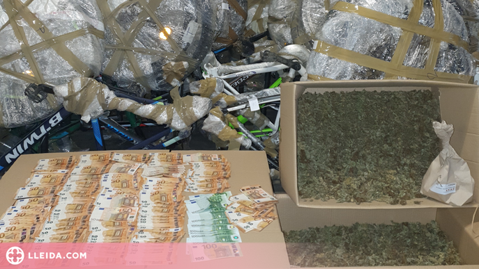 Detingut al Segrià amb més de 100 bicis sostretes i uns 10 quilos de marihuana