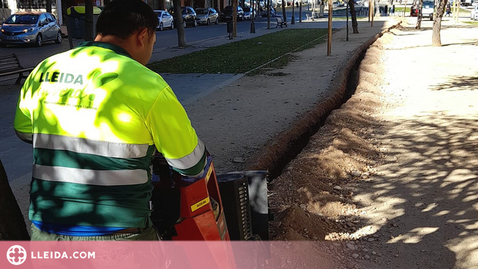 Obres per instal·lar una nova xarxa de reg a Pardinyes