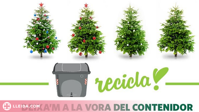 Campanya de recollida d’arbres de Nadal a Lleida