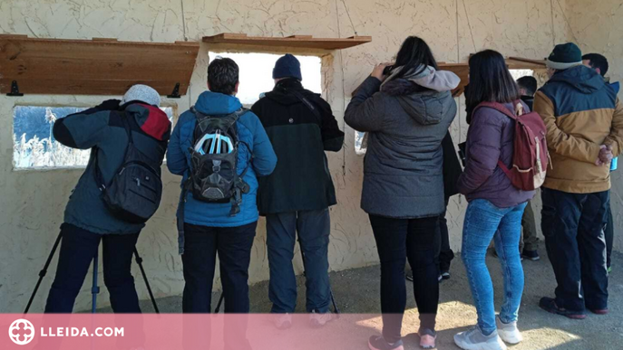 Cens d’ocells hivernants i altres activitats al Parc de la Mitjana