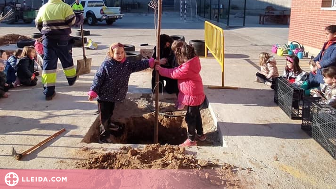 L'escola de Corbins planta arbres al pati per fer-lo més inclusiu