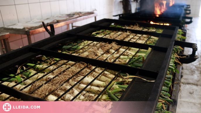 ⏯️ Una empresa de Castellnou de Seana ven més de 80.000 calçots cuits a la setmana