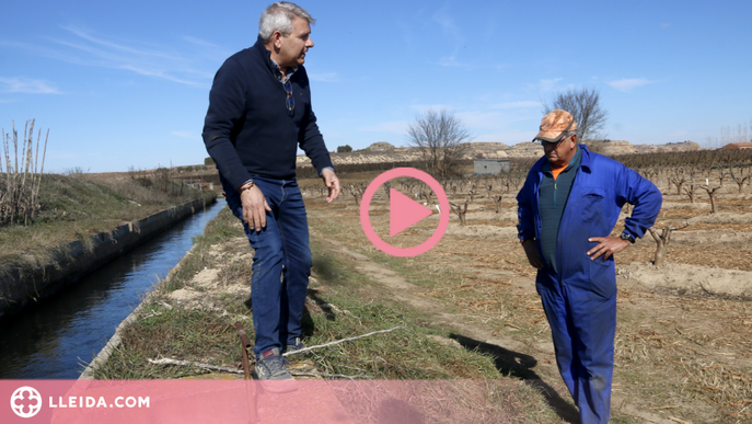 ⏯️ El Baix Segre confia que l'èxit de la pel·lícula 'Alcarràs' ajudi a aconseguir preus justos per a la pagesia