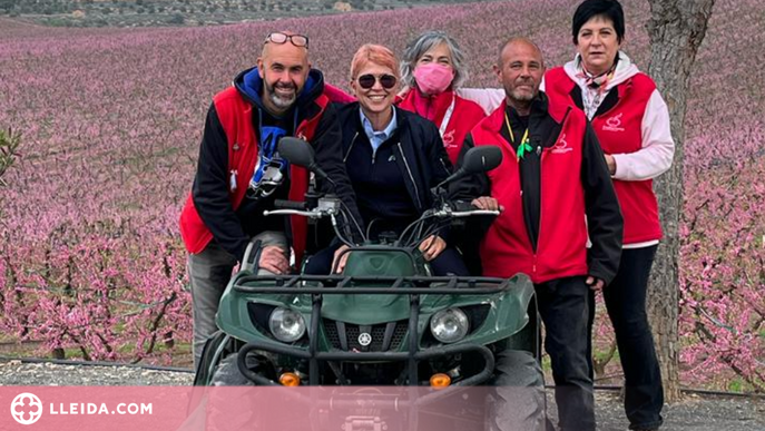Aitona tanca una campanya de la floració de rècord amb 24.000 visitants