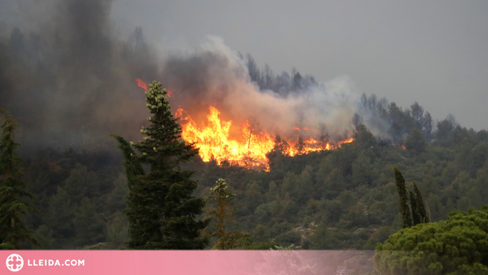 ⏯️ L'incendi de Baldomar ha cremat més de 1.000 hectàrees