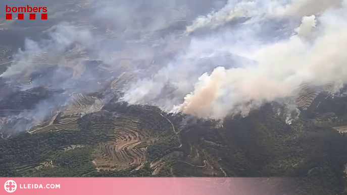 ⏯️ L'incendi de Baldomar ha cremat 550 hectàrees i els de Corbera d'Ebre i Castellar de la Ribera unes 300