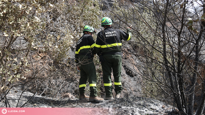 Estabilitzat l'incendi de Baldomar, que ha cremat 2.700 hectàrees