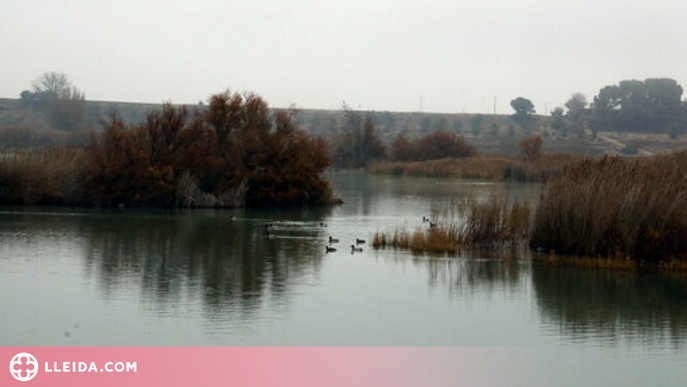 ⏯️ El Pla d'Urgell es prepara per acollir el Fòrum d'Ecoturisme, Natura i Sostenibilitat a Catalunya