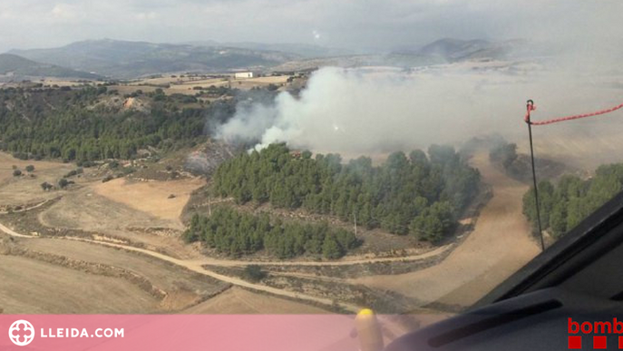 Un incendi forestal crema una hectàrea a la Noguera