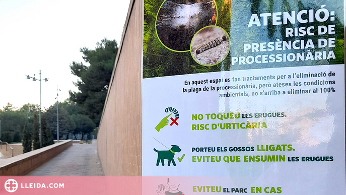 Campanya contra la processionària dels pins a Lleida