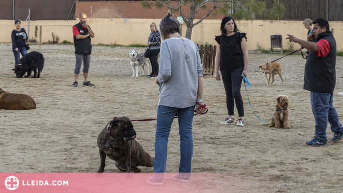 Èxit en el primer taller d'ensinistrament i educació canina de Torrefarrera