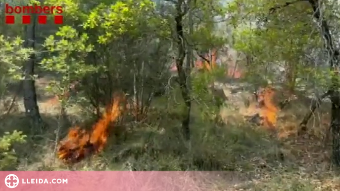 ⏯️ Els Bombers controlen un incendi de vegetació a Lladurs i dos focs de llamp a Tivissa