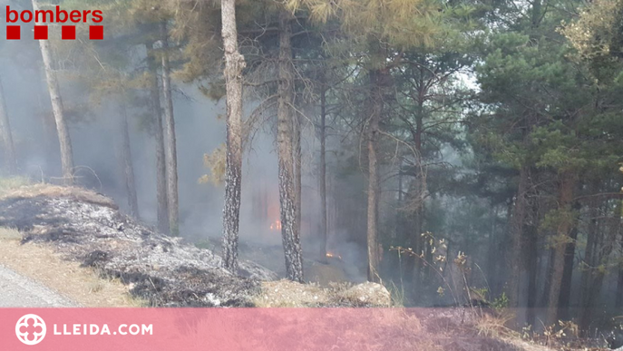 Un incendi per un llamp i més de 40 caigudes d'arbres durant la tempesta als Pirineus