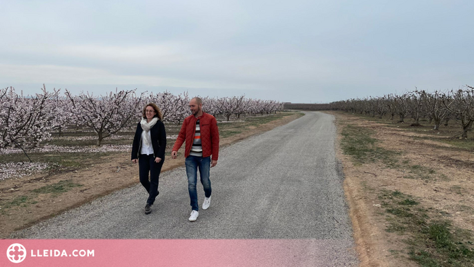 Finalitzen les millores dels camins agrícoles de Corbins