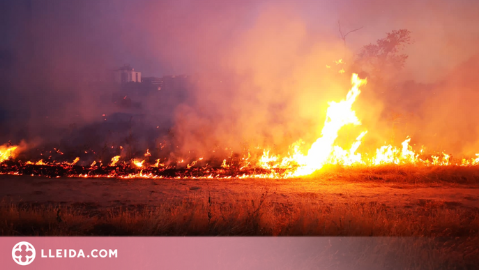Un incendi crema 3 hectàrees a la Bordeta
