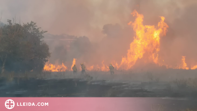 Un incendi crema 3 hectàrees a la Bordeta
