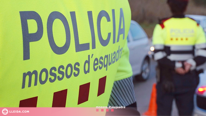 Dos detinguts per tinença de drogues a Lleida