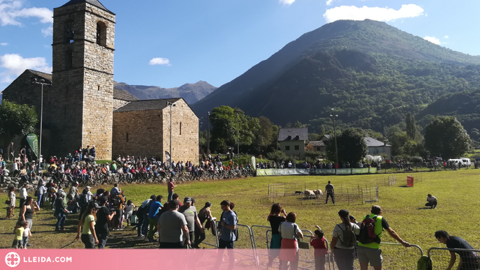 Tornen GURE Sheepdog trial i la Fira Ramadera de Barruera