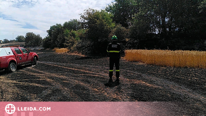 Els Bombers demanen evitar l'activitat al medi natural davant l'onada de calor