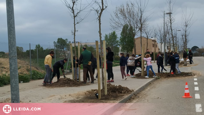 Alumnes de Primària planten arbres als carrers del seu barri