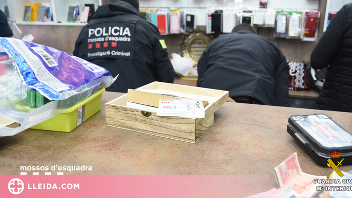 ⏯️ 29 detinguts de tres clans que distribuïen cocaïna, heroïna i marihuana des de Balaguer