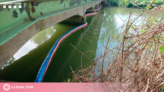 ⏯️ Un abocament d'hidrocarbur al canal de Seròs deixa més de 25 pobles sense aigua de boca