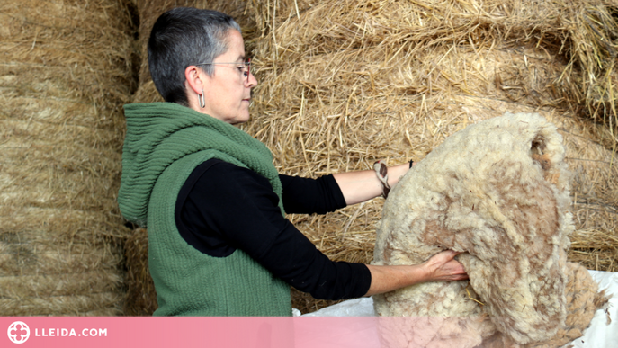 ⏯️ La llana, de teixit preuat a residu que s'acumula arreu del país
