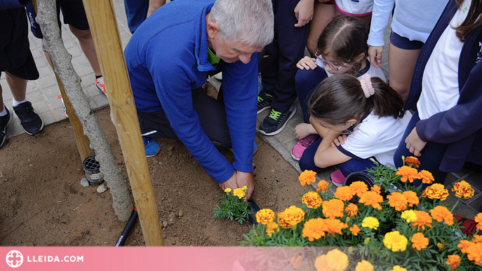 Plantació d’escocells a Lleida amb alumnes dels Maristes