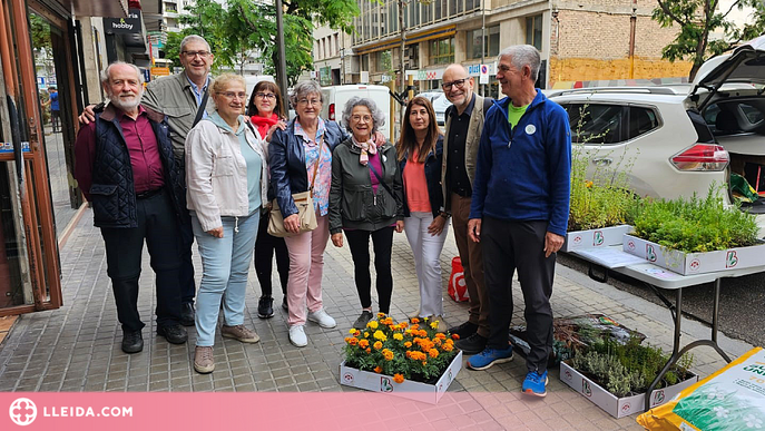 Plantació d’escocells a Lleida amb alumnes dels Maristes