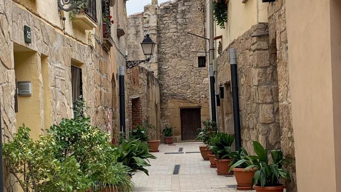 La Vileta d’Artesa de Lleida es troba al centre de la població, i configura el nucli antic de la vila. Les antigues porxades que tancaven la vila closa, juntament amb les arcades de pedra que les sustentaven, van ser enderrocades durant el segle passat. L