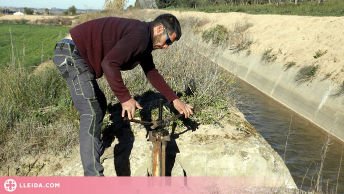 Les reserves d'aigua a la conca del Segre no poden garantir el regadiu dels cultius