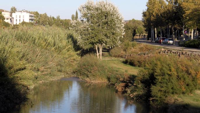 Tàrrega aprova un nou projecte per a recuperar els espais verds de la llera del riu Ondara